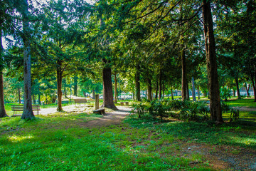 Progetto immobiliare Canzo